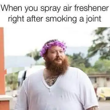 4:20_Chronicles post