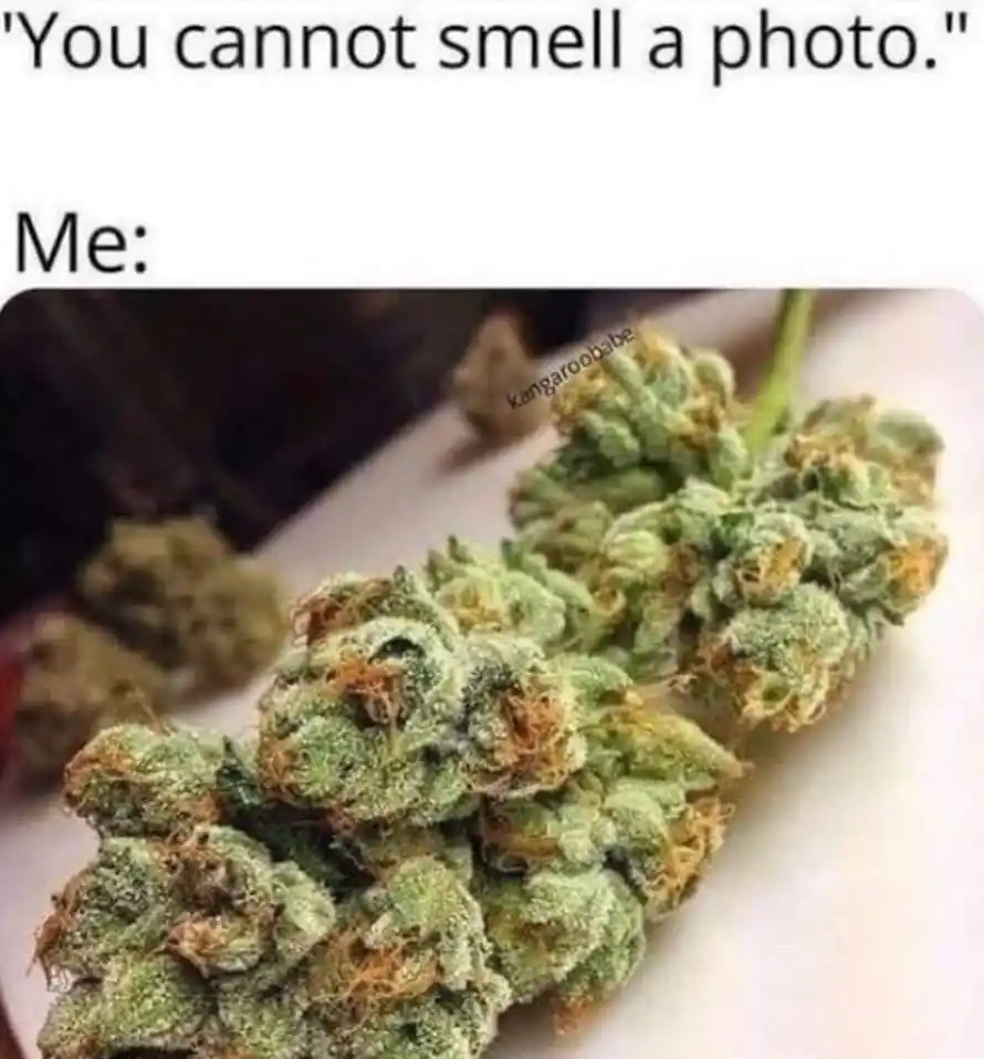 4:20_Chronicles post