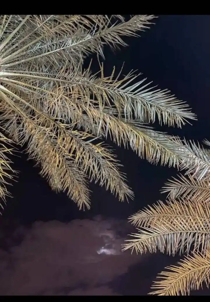 عــآلــم آلـمــعـــ📖ــرفـهہ❤‍🔥📌 post