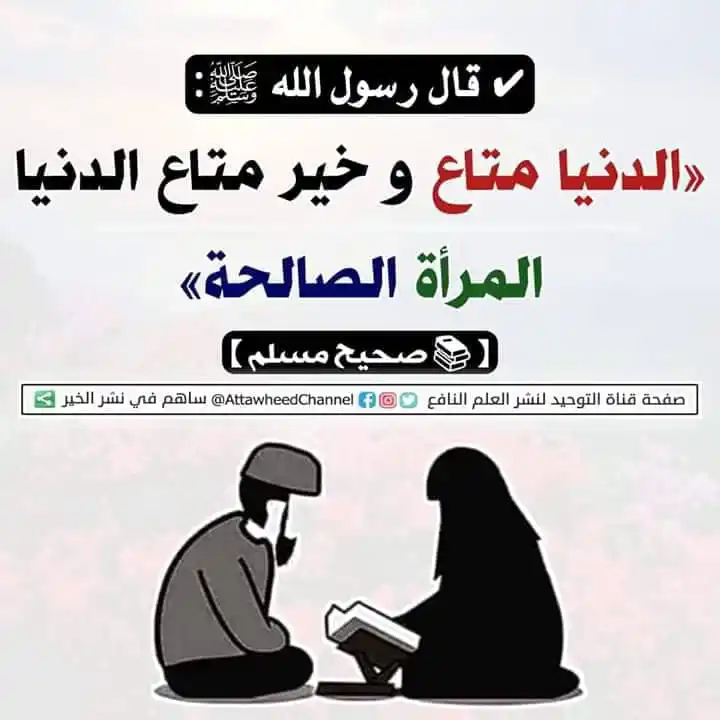 ABU HARNAB TV CHANNEL post