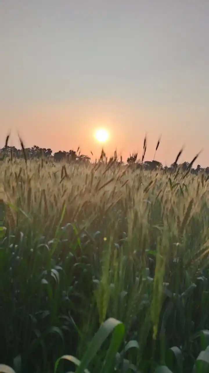 Abu Muhammad ابو محمد post