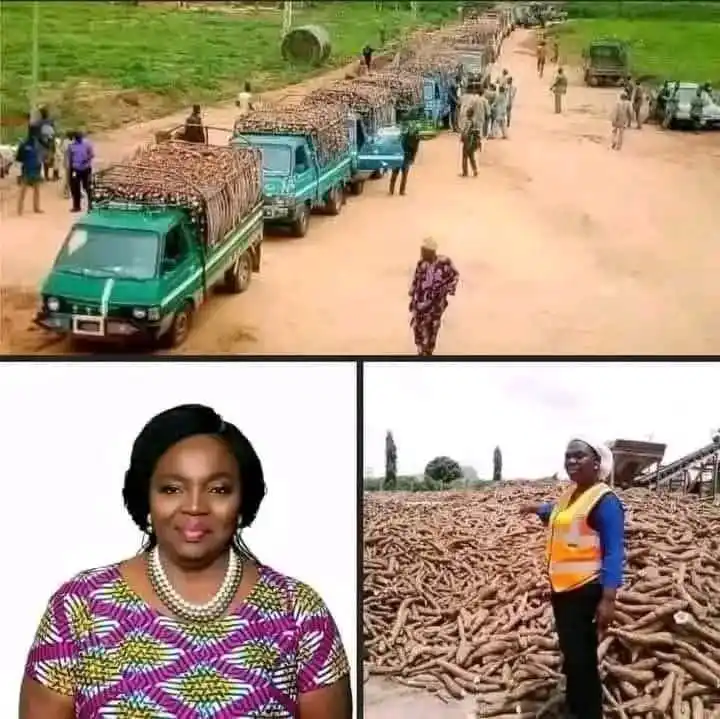 Image from AGRI_FARMS21: *Meet the Woman Behind 10,000 Tons of Cassava and $12 Million in Annua...