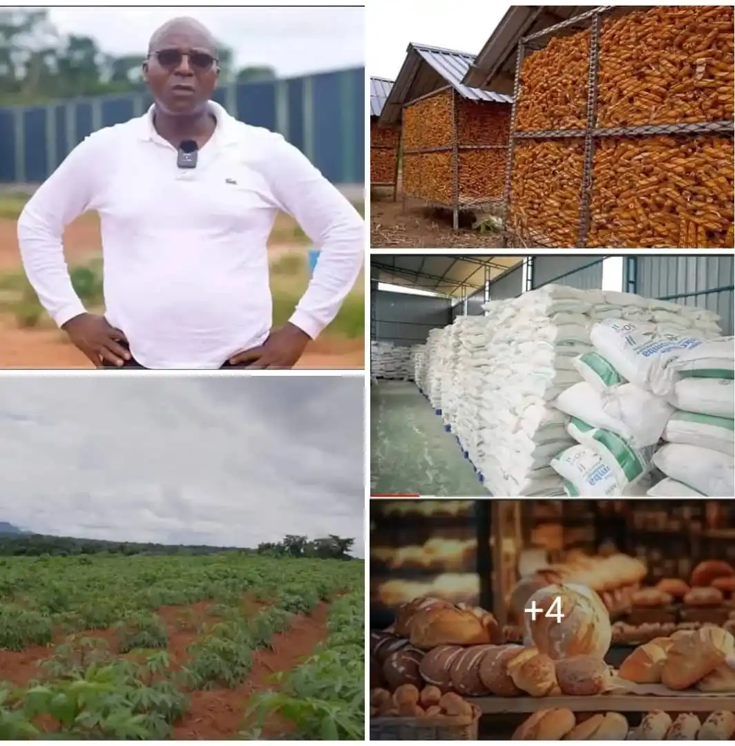 Image from AGRI_FARMS21: *This man left Europe and relocated to Africa (Cameroon) to cultivate ...