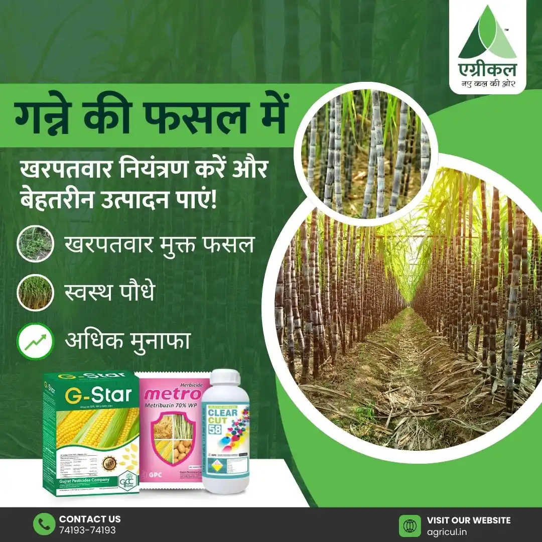 Agricul™ - Growing The Future post