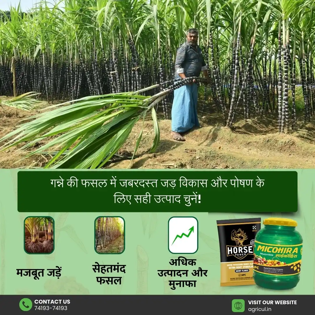 Agricul™ - Growing The Future post