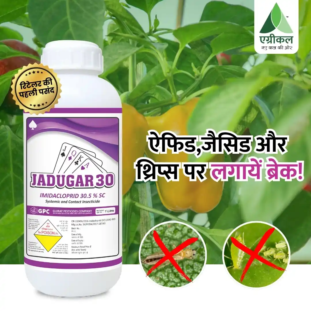 Agricul™ - Growing The Future post