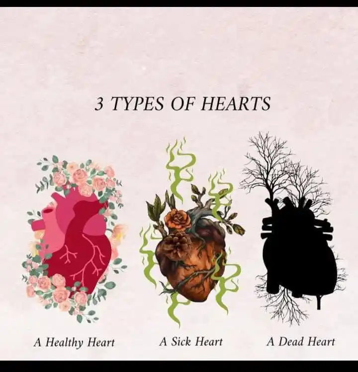 🌸 اہل ذوق 🌸 post