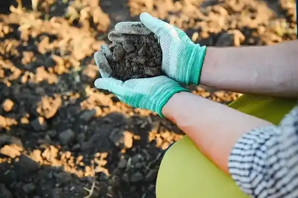 Image from AIMPLAS: La finalidad del proyecto CARACT4BIO es comprender la relación de las ...