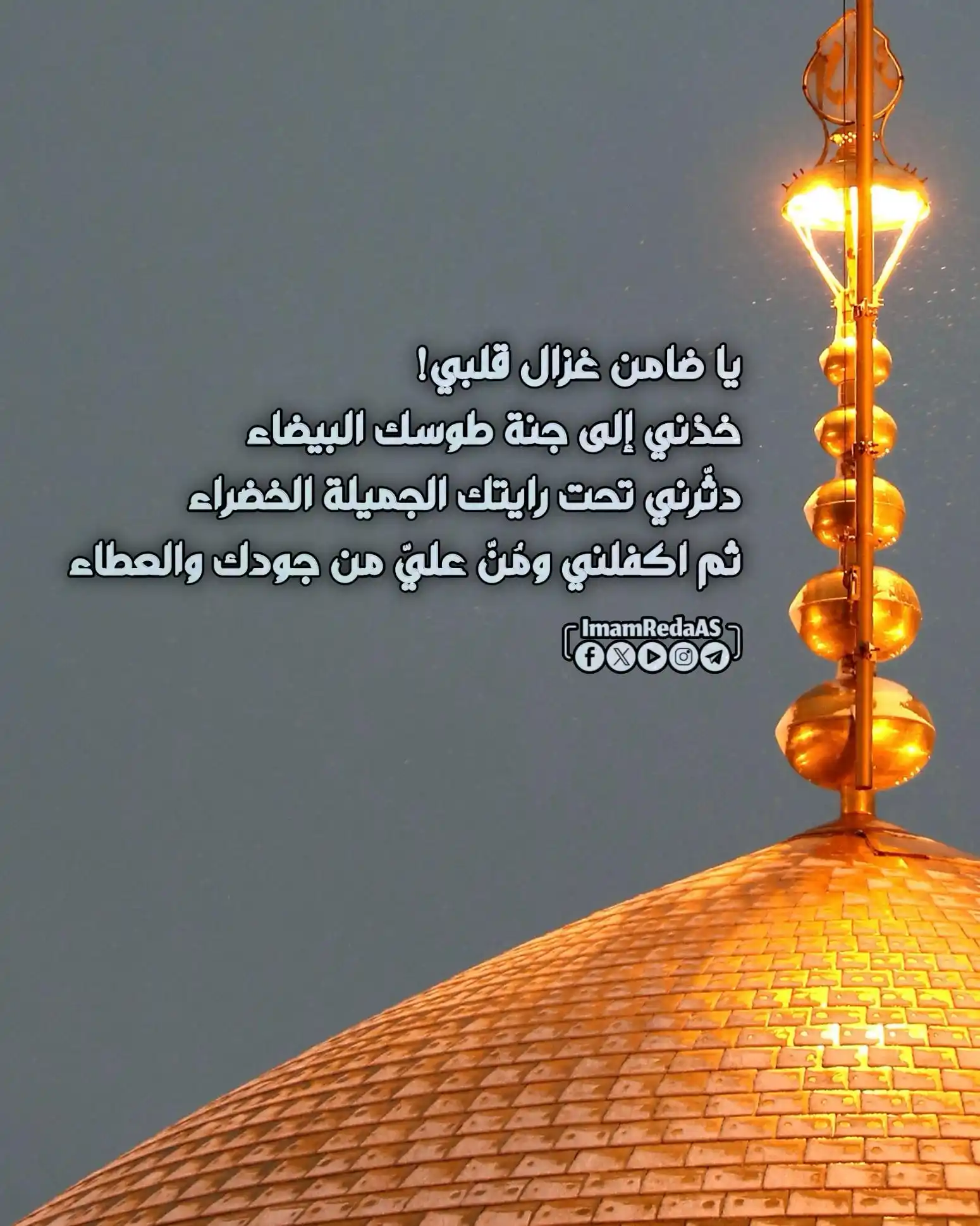 Image from العتبة الرضویة المقدسة: ✨ يا ضامن غزال قلبي! خذني إلى جنة طوسك البيضاء، دثّرني تحت رايتك الجمي...