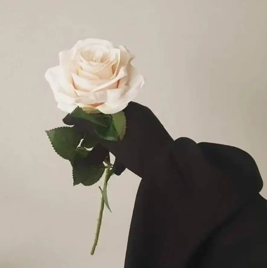 الروح إذا لجأت لله اطمأنت 🤲🏻 post