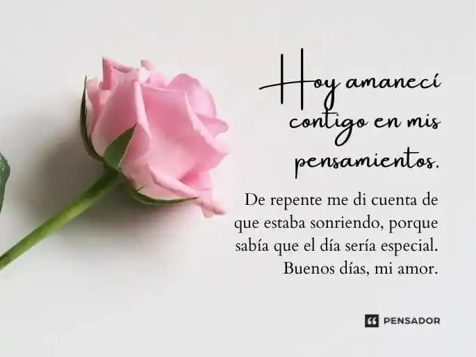 ALZA LA VOZ MORELOS post
