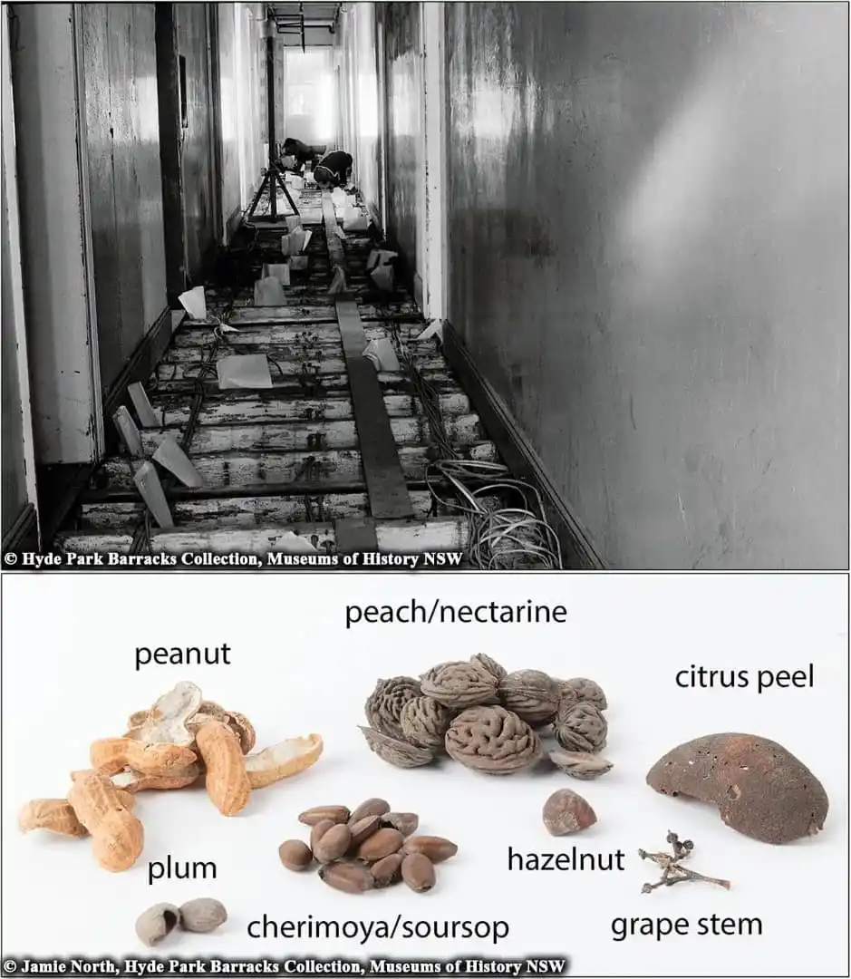 Archaeology News Online Magazine post