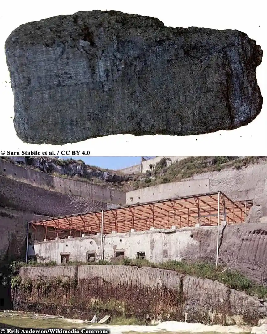 Archaeology News Online Magazine post