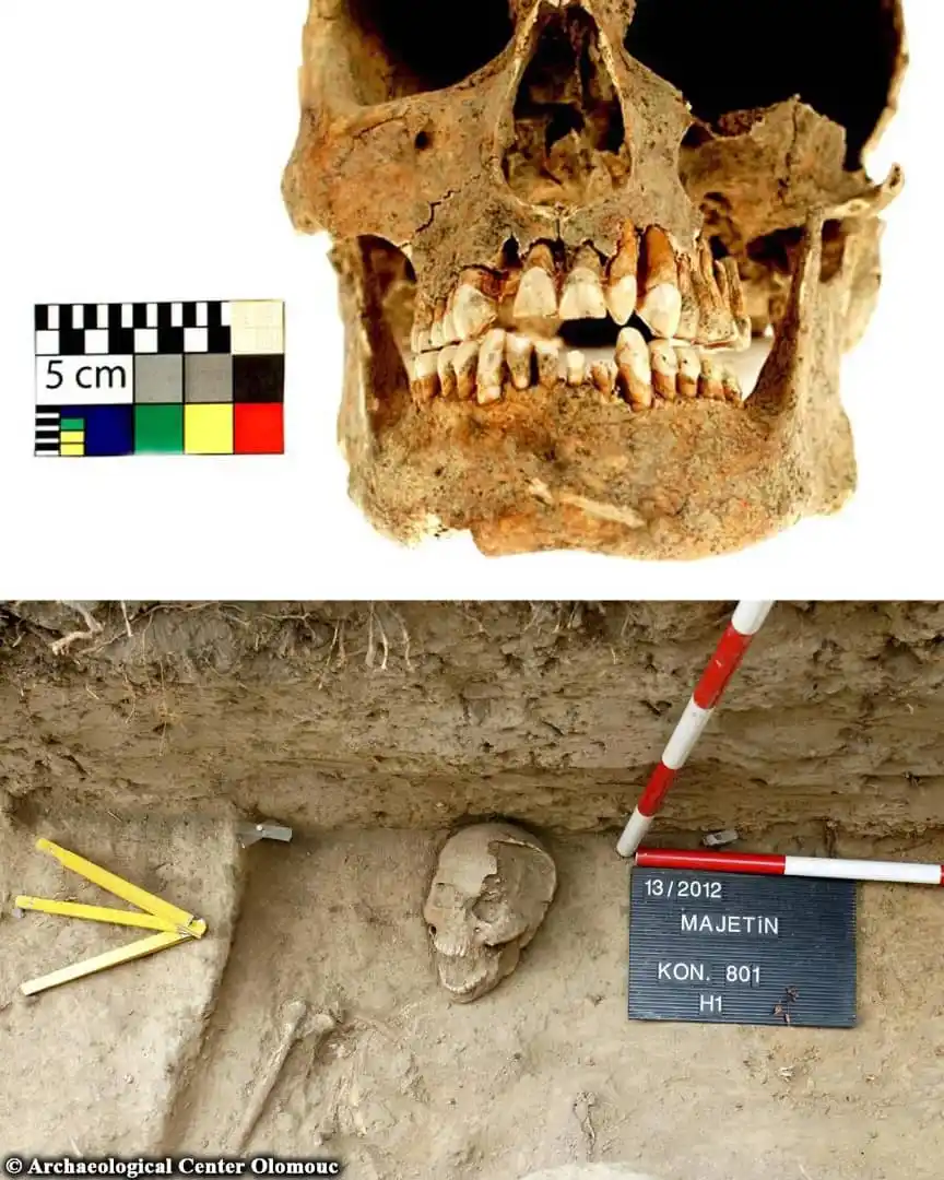 Archaeology News Online Magazine post