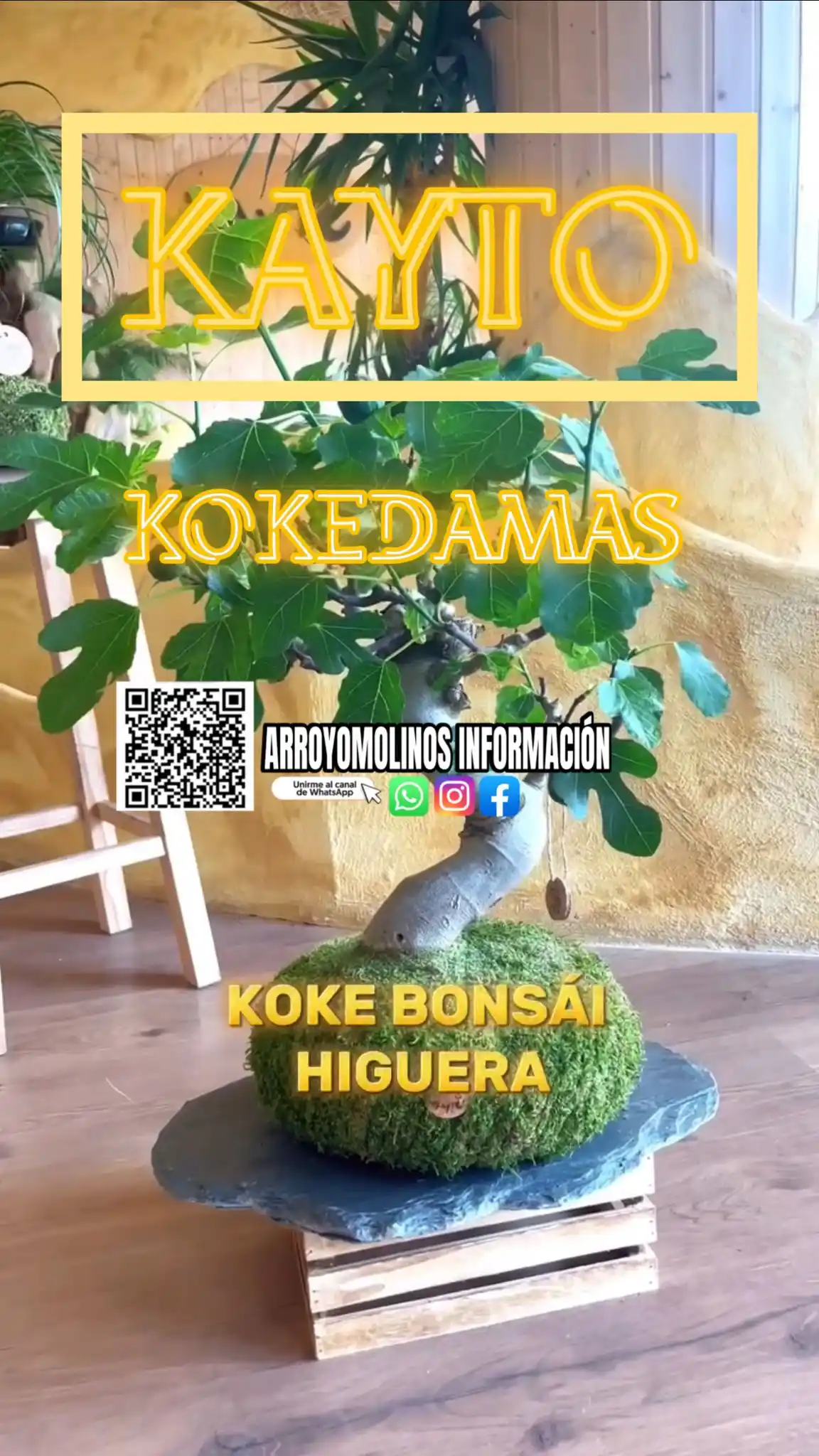 ARROYOMOLINOS INFORMACIÓN  post