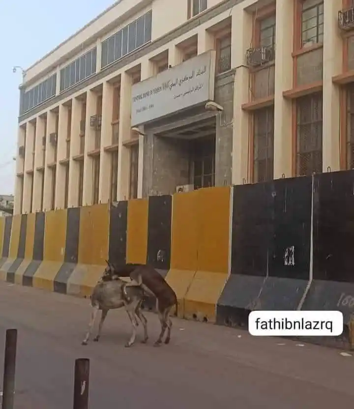 اسعار الصرف مباشر post