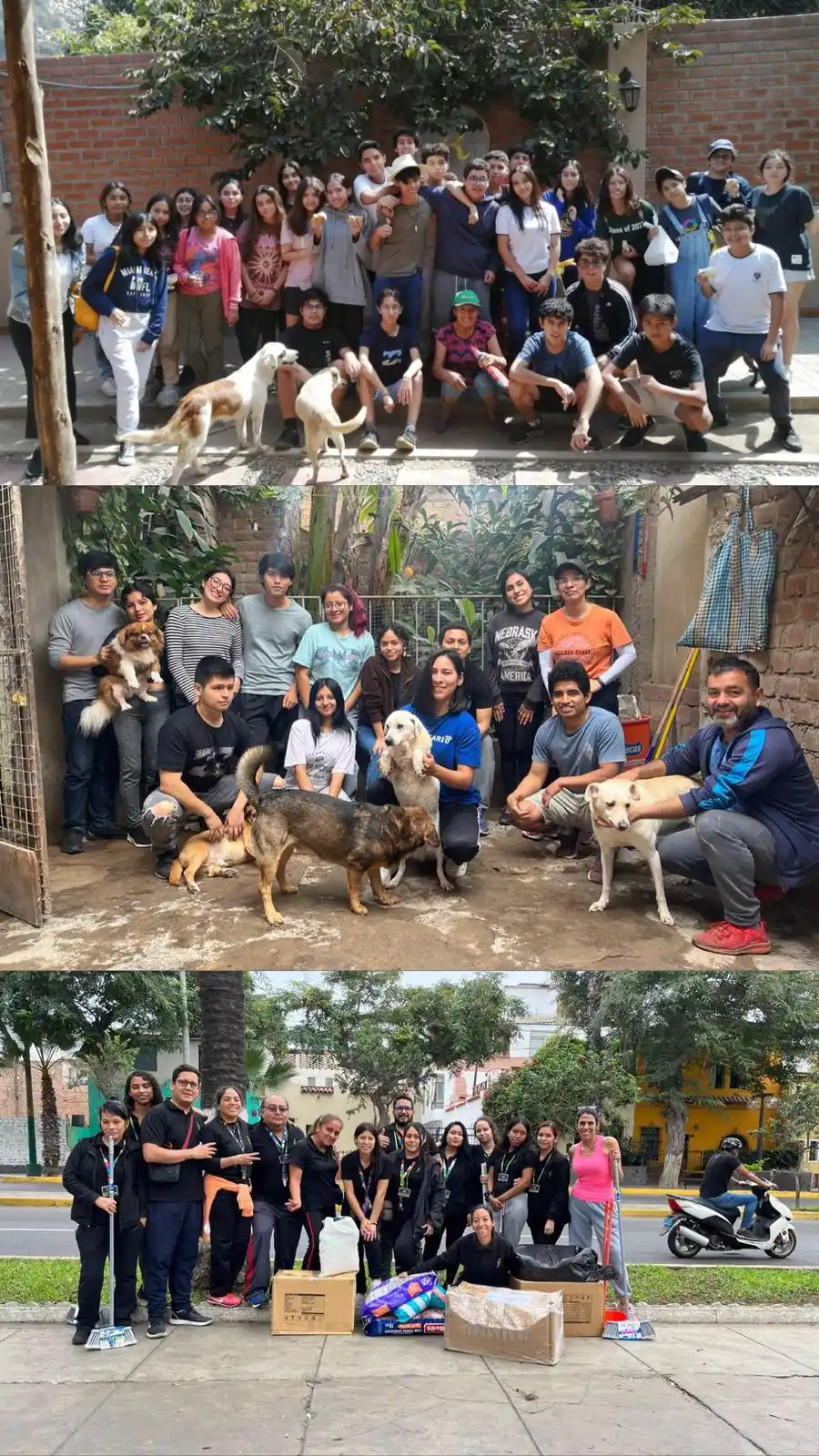 Asociación KP 🐶🐈 post