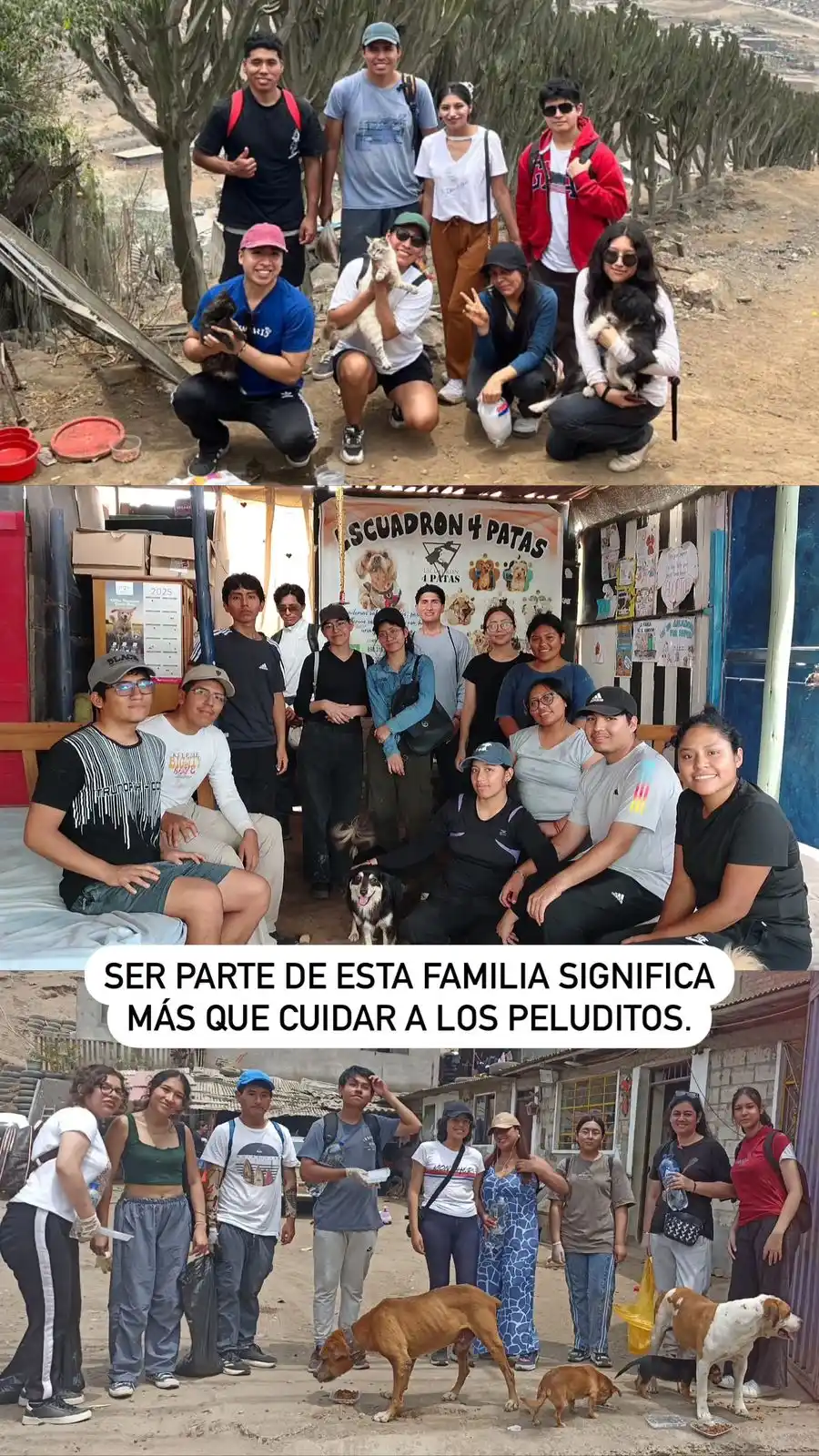 Asociación KP 🐶🐈 post