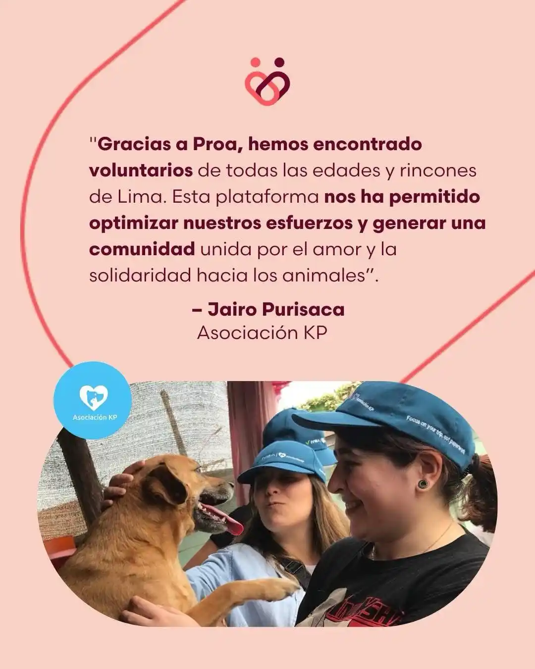 Image from Asociación KP 🐶🐈: 📢🌍 ¡Hoy es el Día Mundial de las ONG! 🌍📢 Celebramos y agradecemos...