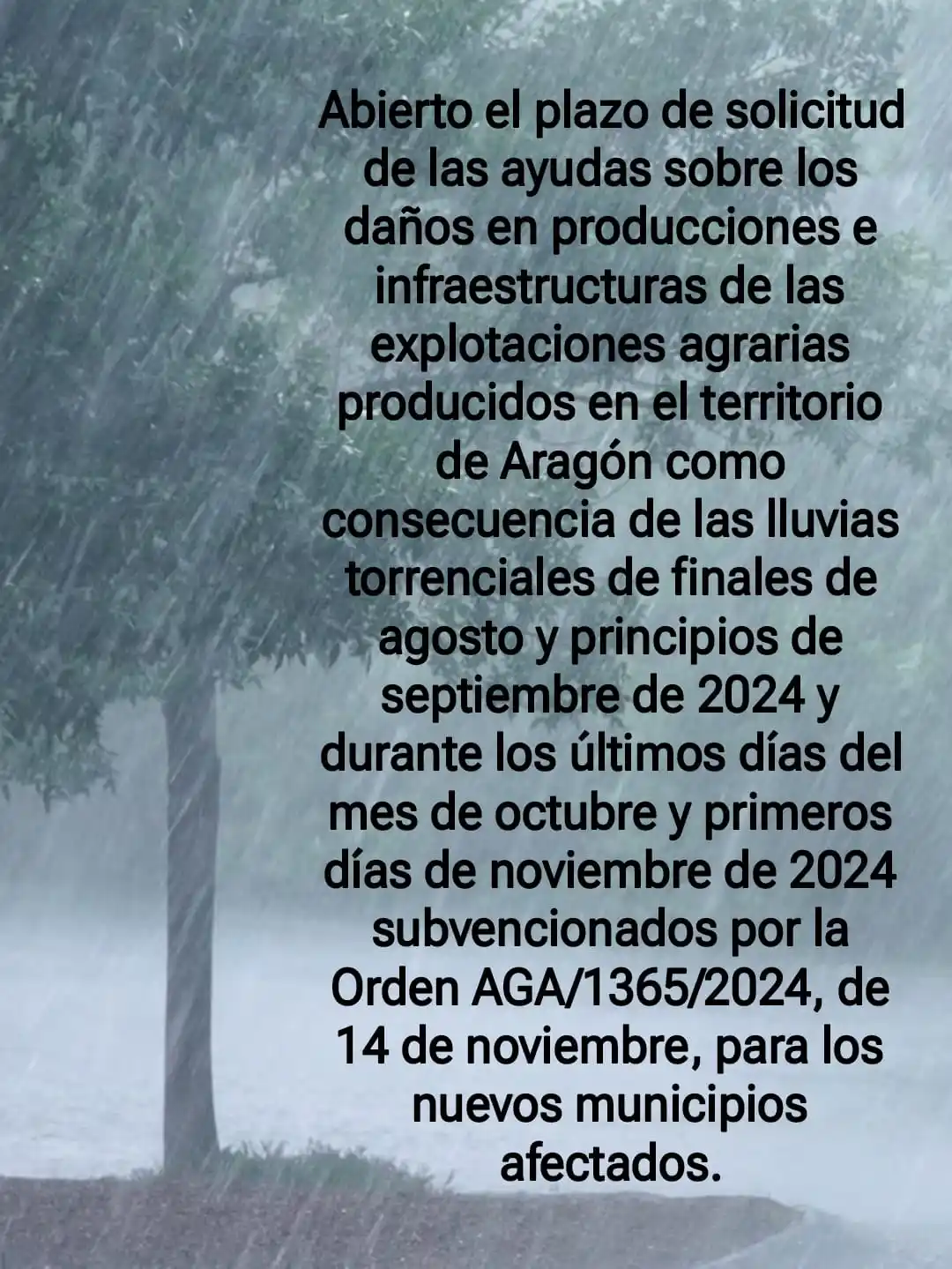 Ayto. Peralta de Alcofea informa post