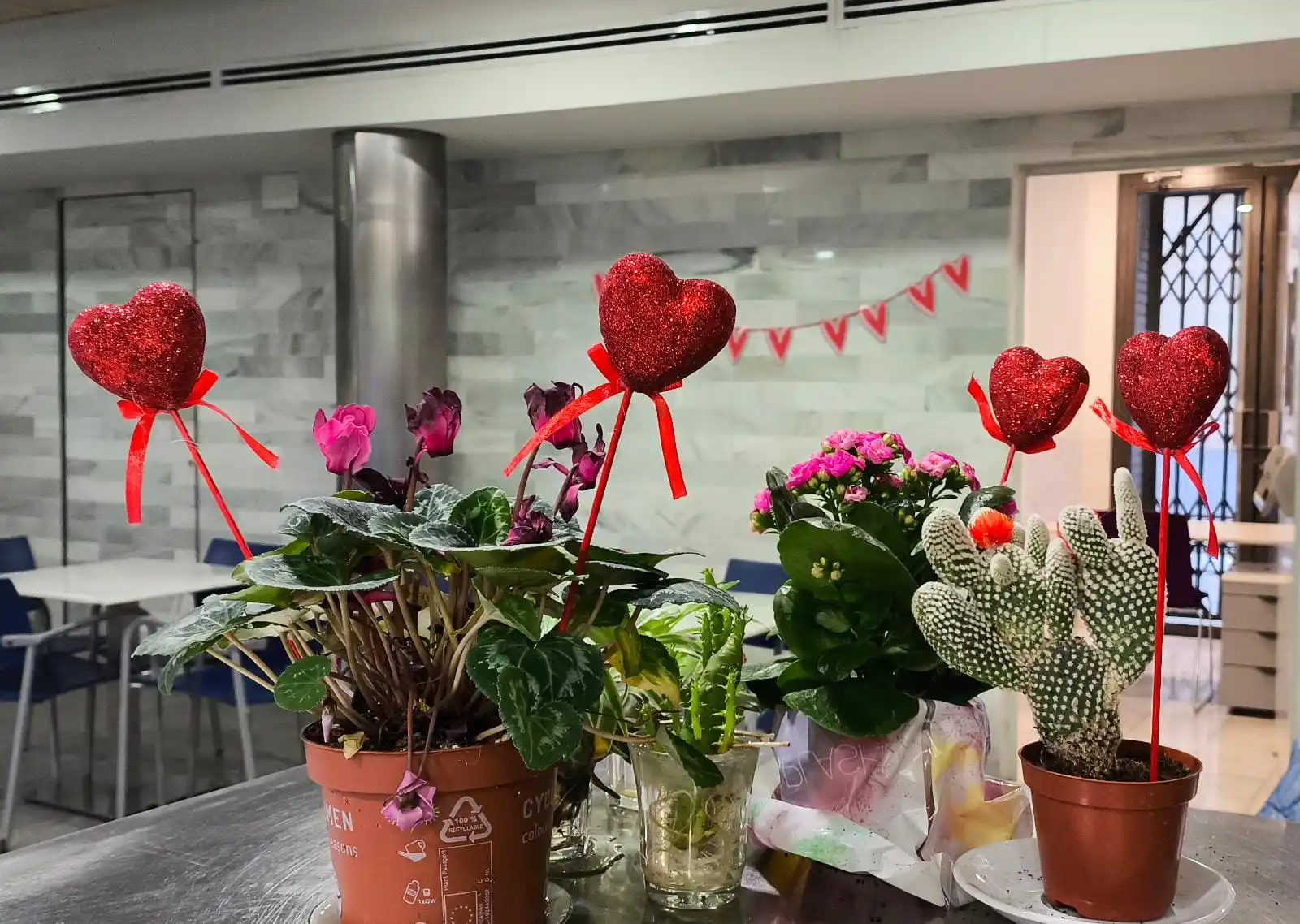 Bar Centro Bellido post