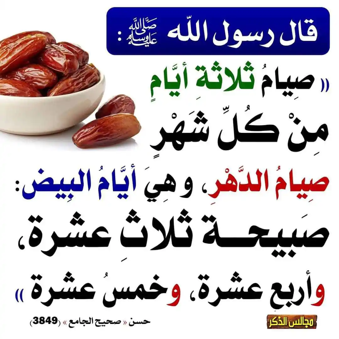 بَصائِرُ مِن رَبِّكُم post