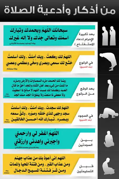 بَصائِرُ مِن رَبِّكُم post