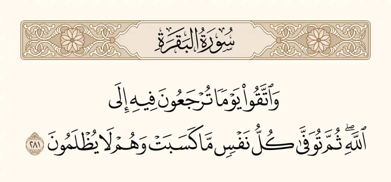 بَصائِرُ مِن رَبِّكُم post