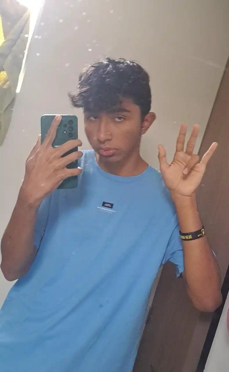 Basurero De Glitches post