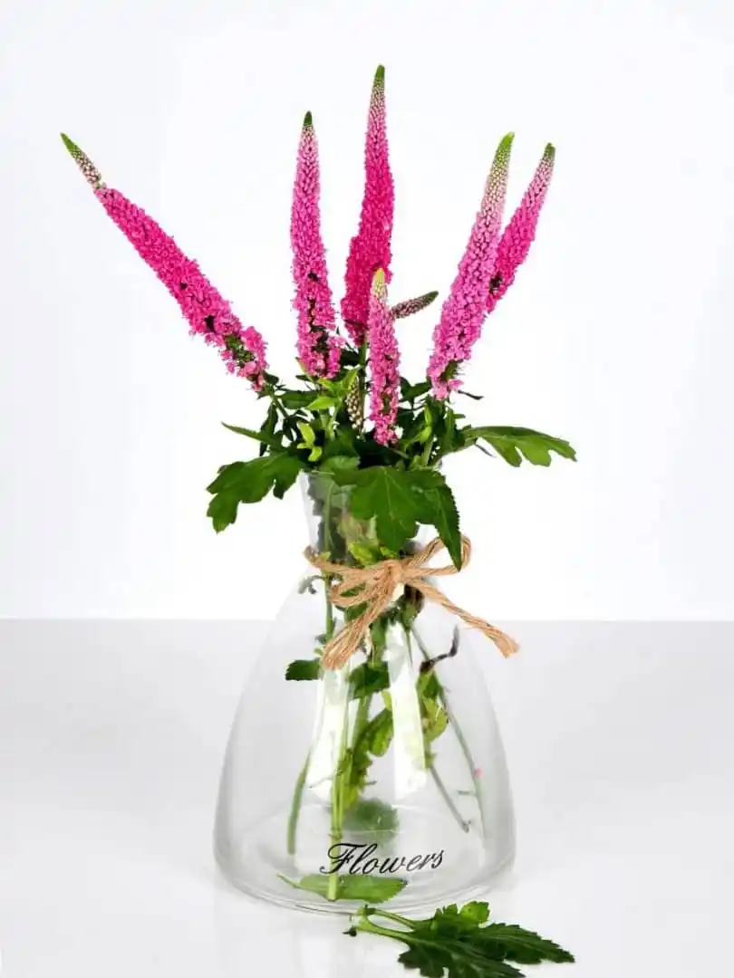 بازرگانی سون post