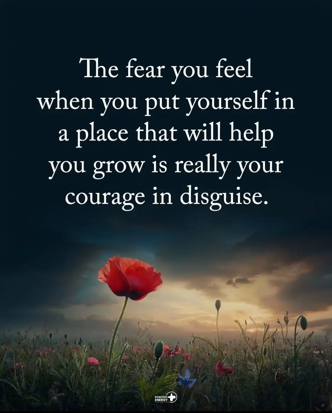 Better Mindset post