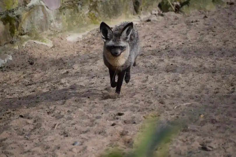 Image from Brovenco: Der Tierpark Hamm – Ein Naturerlebnis für die ganze Familie Der Tierp...