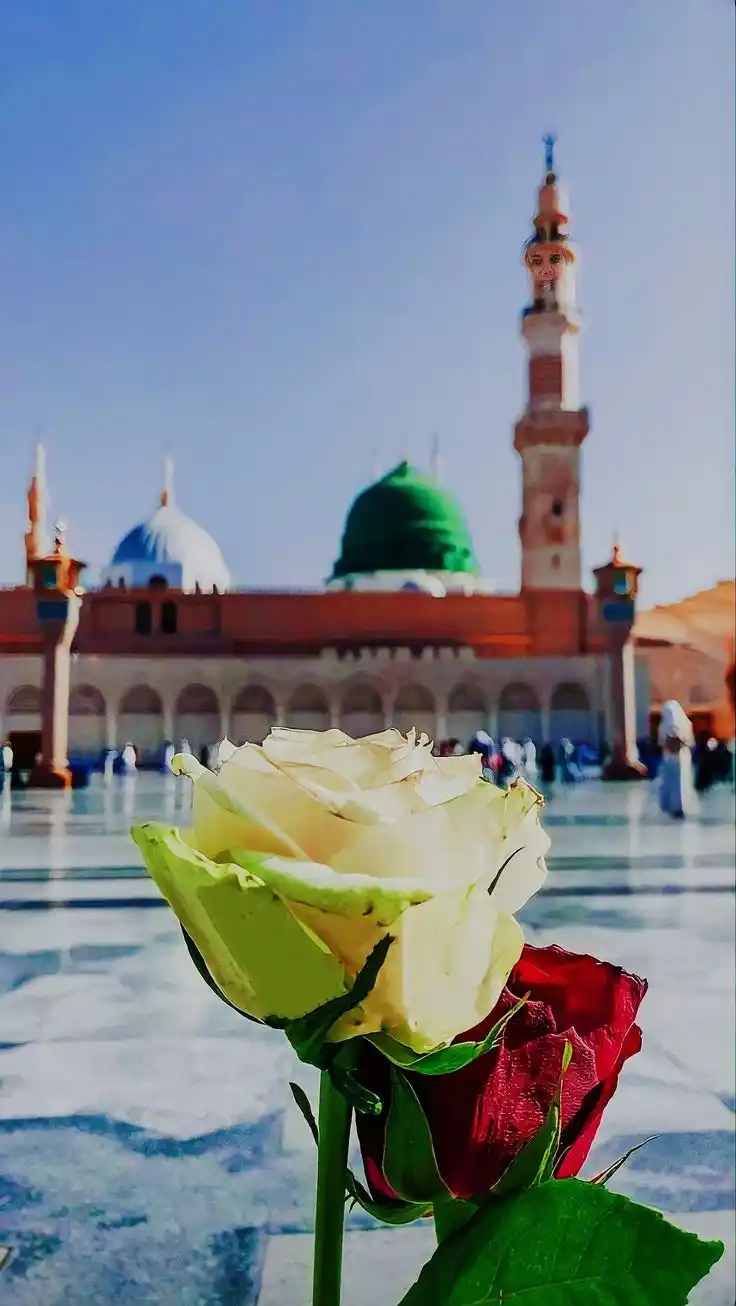 🖤بریلی والے💫🌺 post