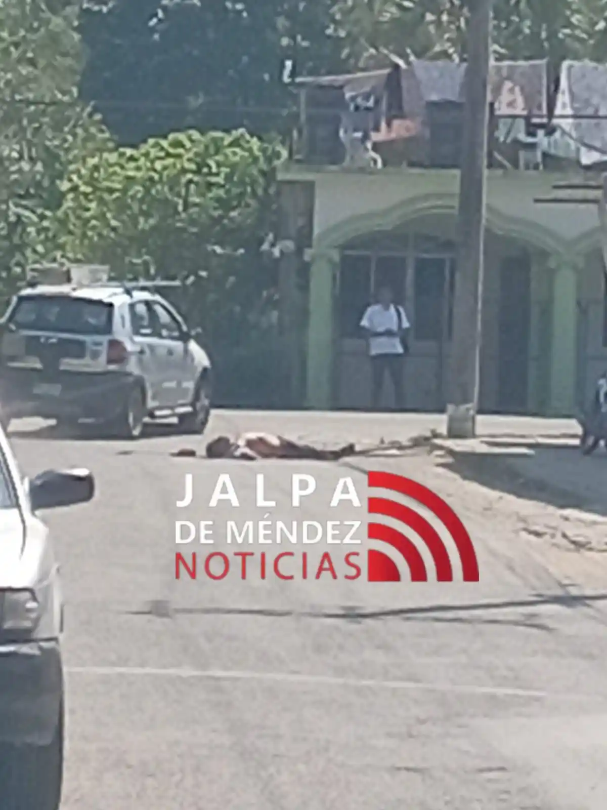 Buena Vista en Noticias  post