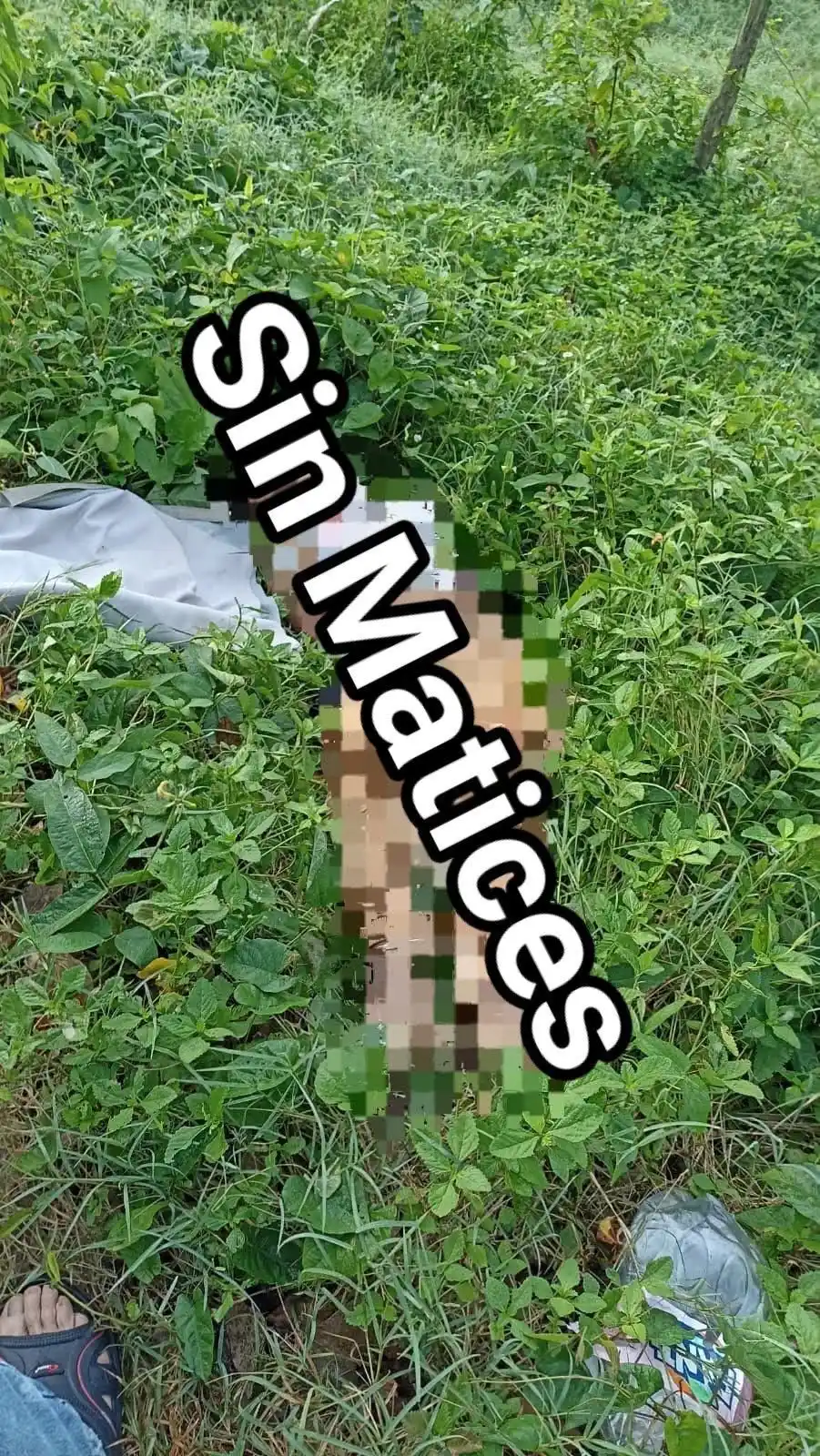 Buena Vista en Noticias  post