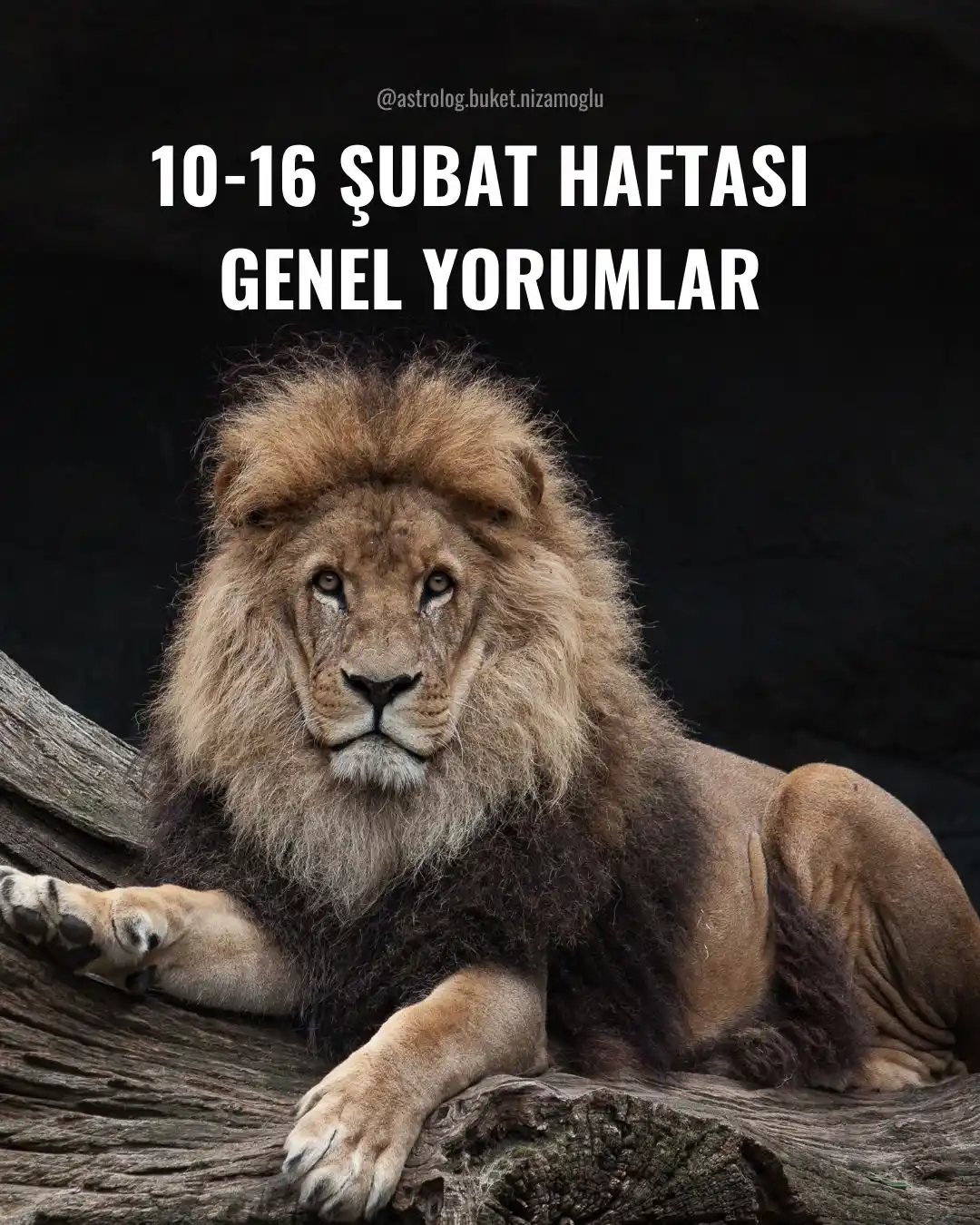 Image from Buket Nizamoğlu: TÜRBÜLANSA GİRİYORUZ.KEMERLERİ BAĞLAYIN‼️Dolunay haftasındayız.Dolunay...