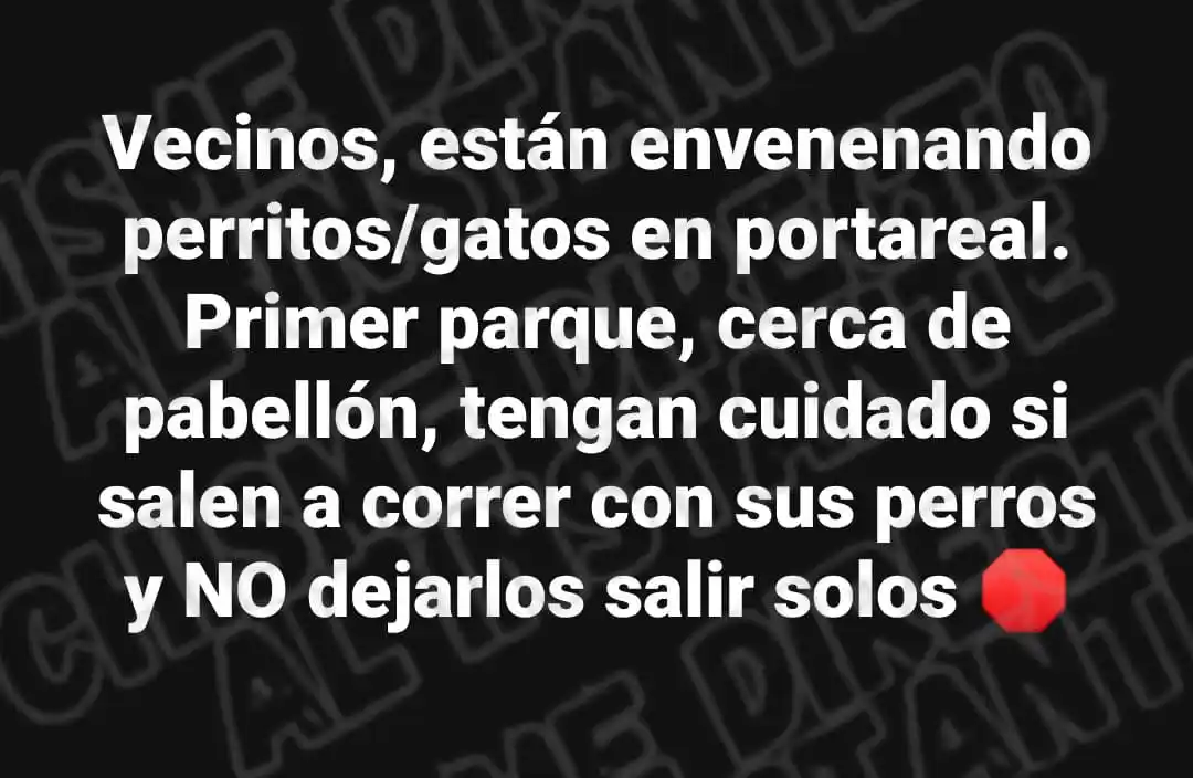 ChismeDirecto Alinstante🫰🏻 post