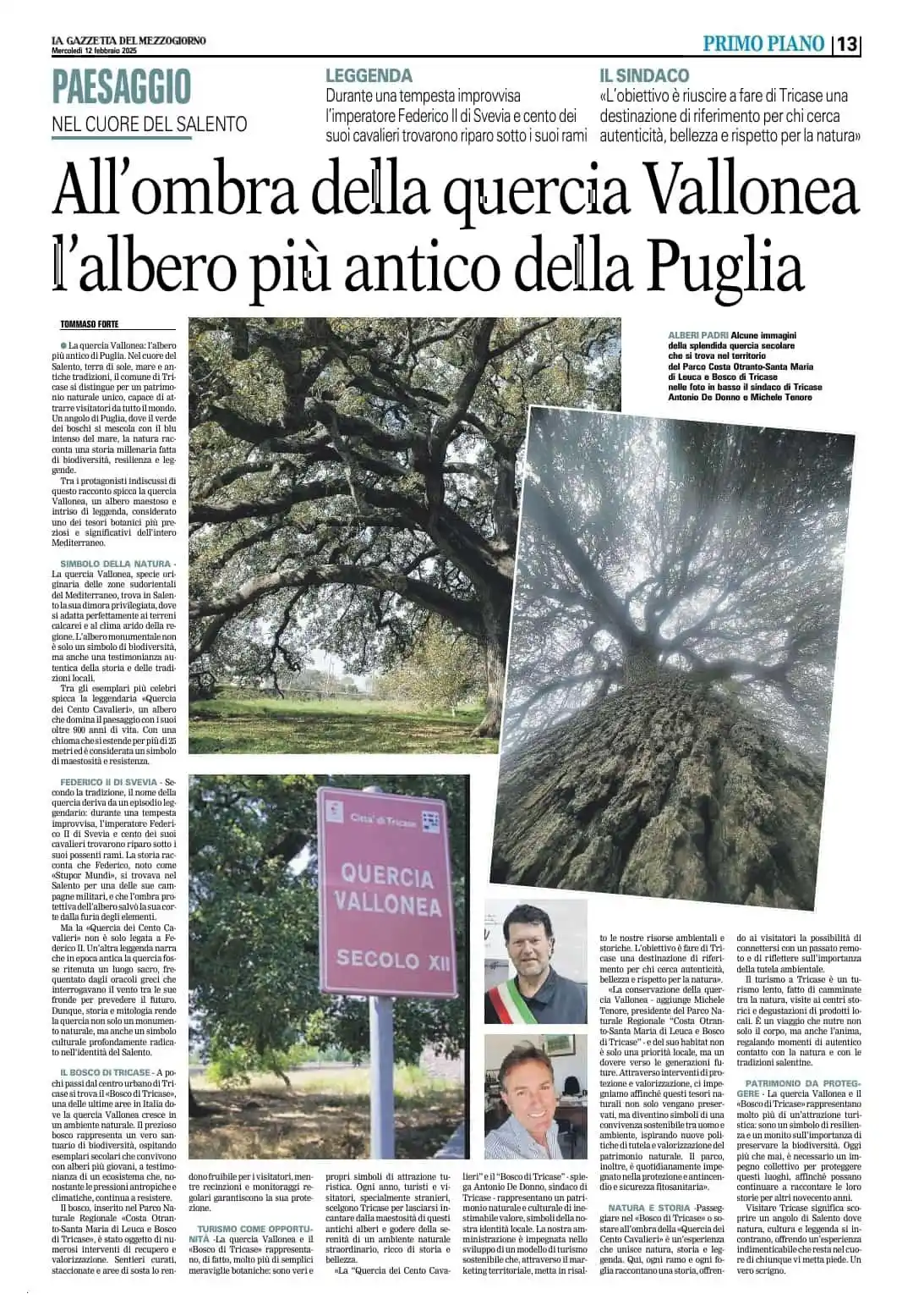 Città di Tricase post