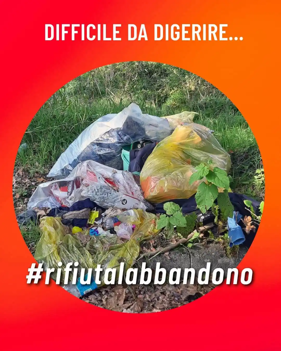 Image from Comune di Mediglia: La nostra Amministrazione si unisce al coro di sdegno proposto sulle p...