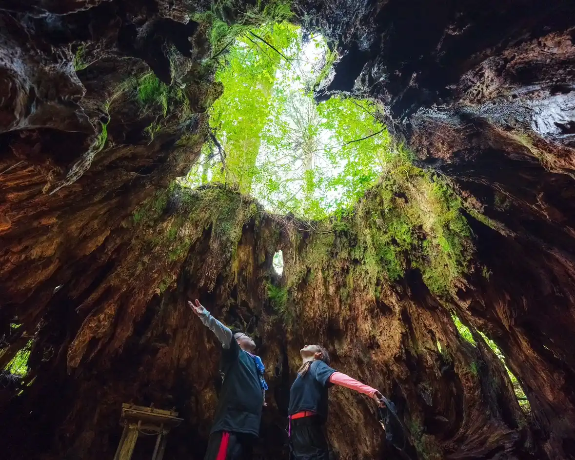 Conan Fans Club ID post