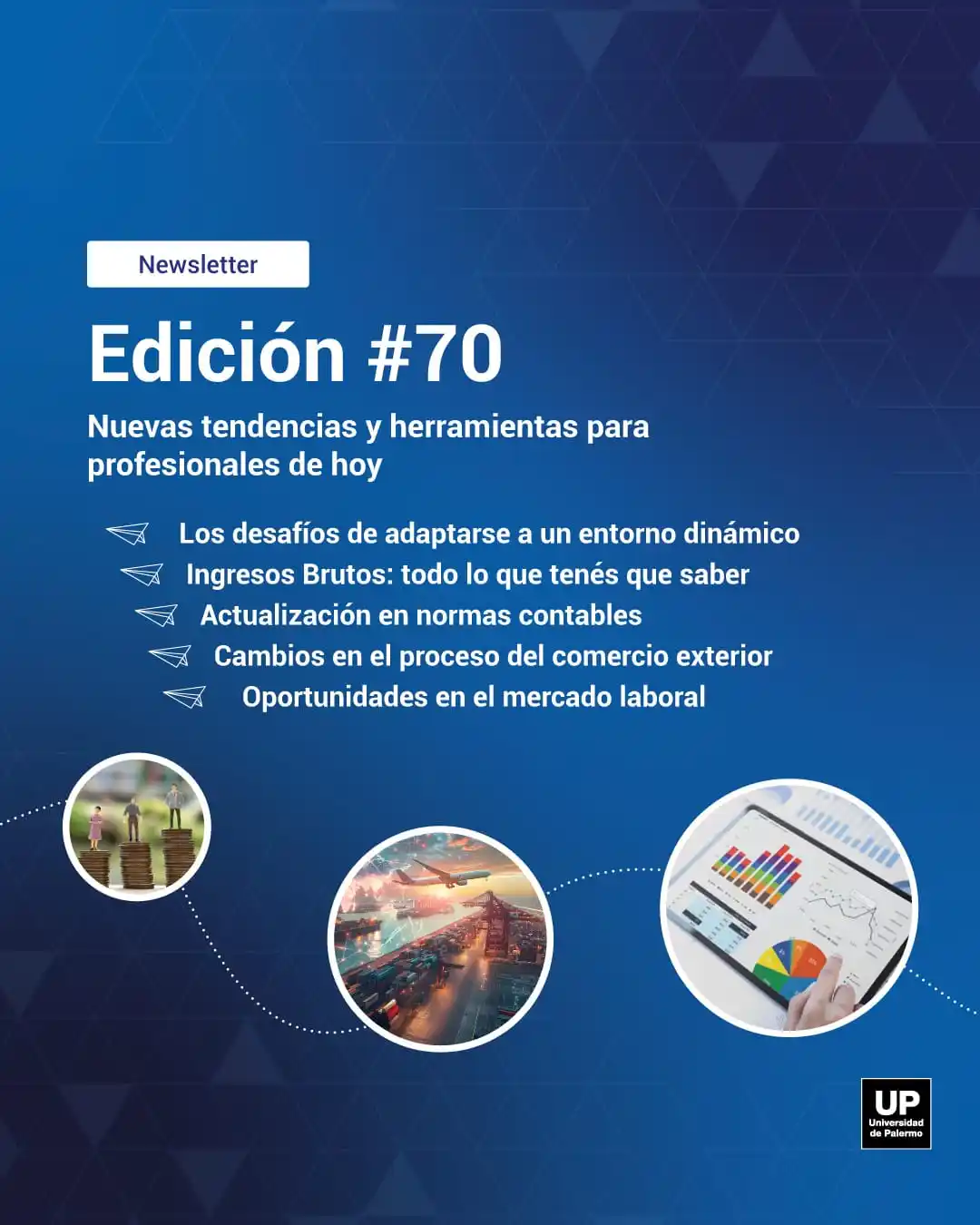 Contador Público UP post