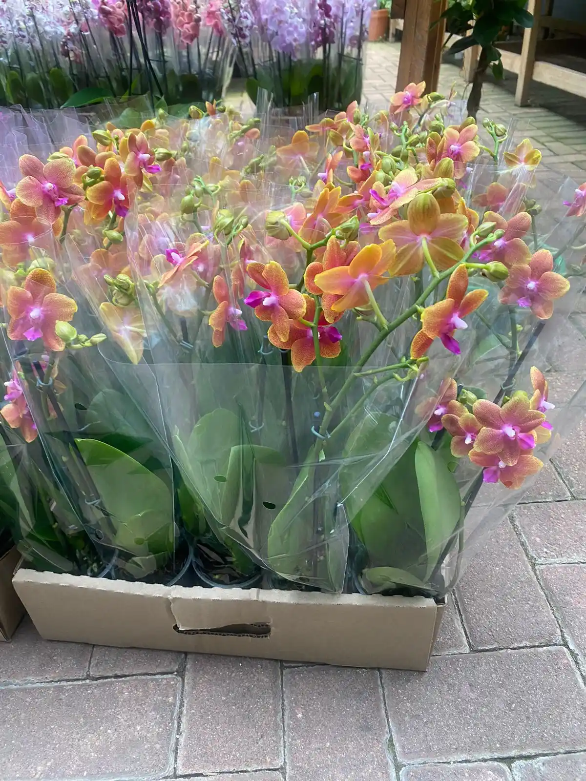 CVRS INTERNATIONAL FLORIST  post