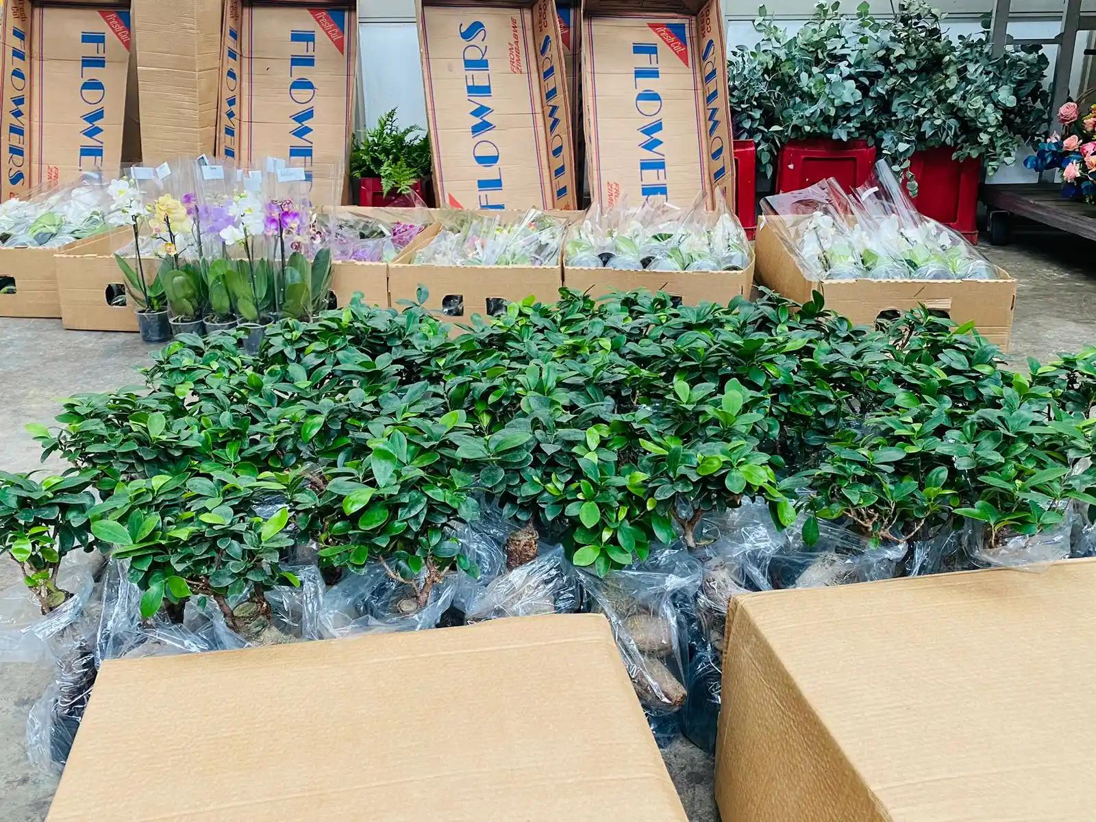 CVRS INTERNATIONAL FLORIST  post