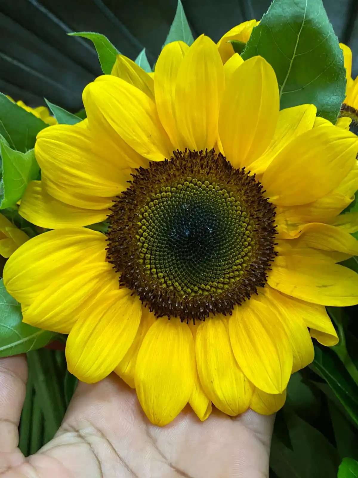CVRS INTERNATIONAL FLORIST  post