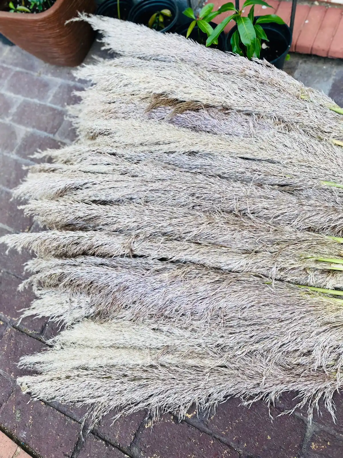 CVRS INTERNATIONAL FLORIST  post