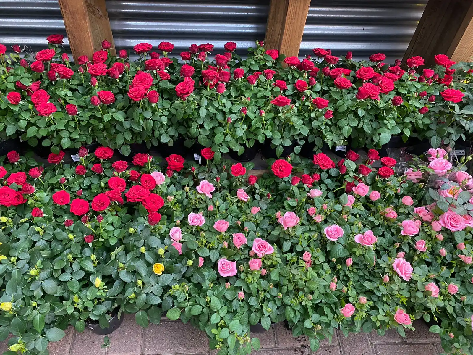 CVRS INTERNATIONAL FLORIST  post