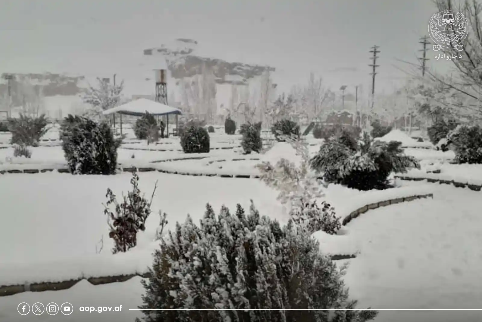 د ښاروالیو چارو سمون عمومي ریاست  post