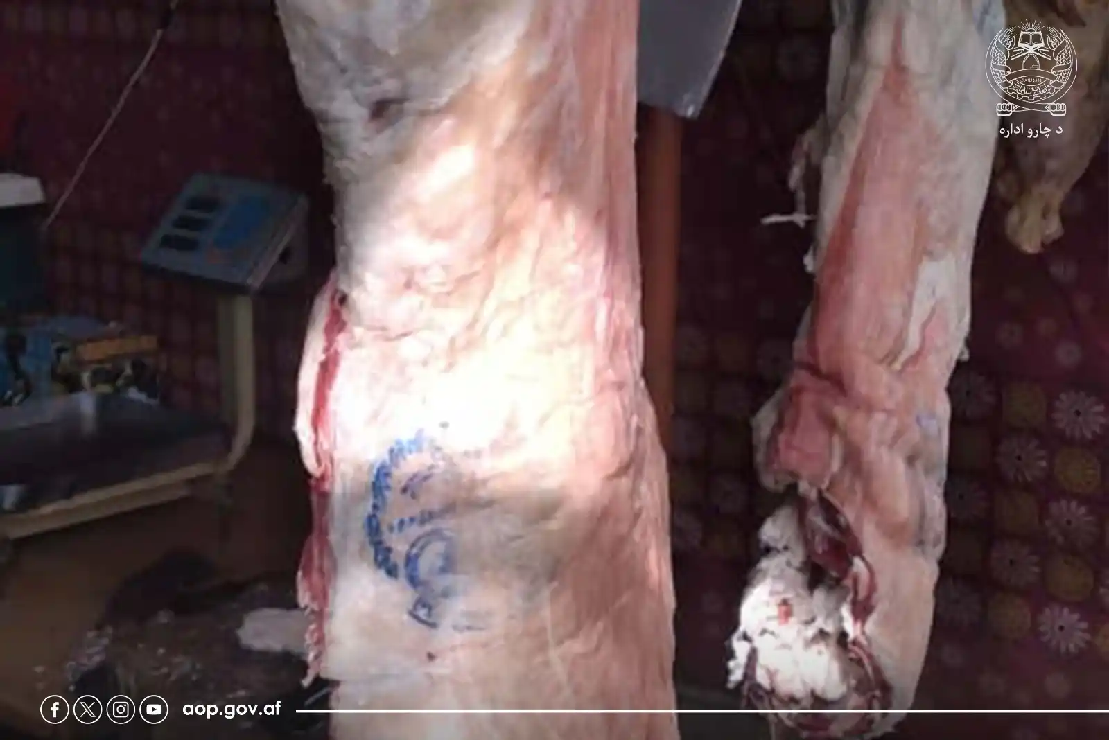 د ښاروالیو چارو سمون عمومي ریاست  post