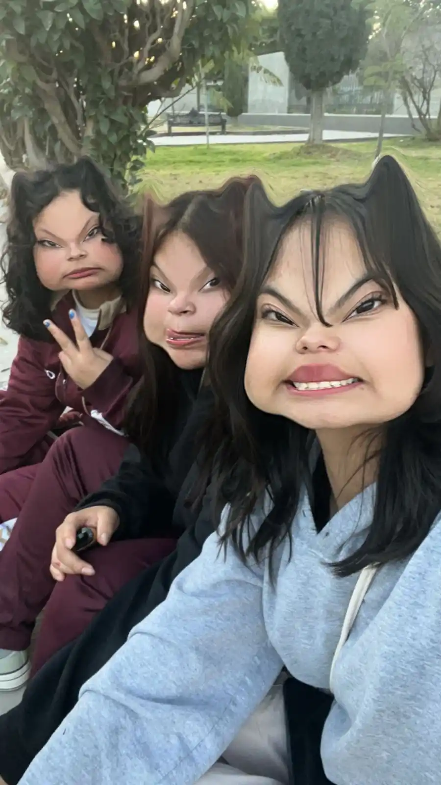 Dalys post