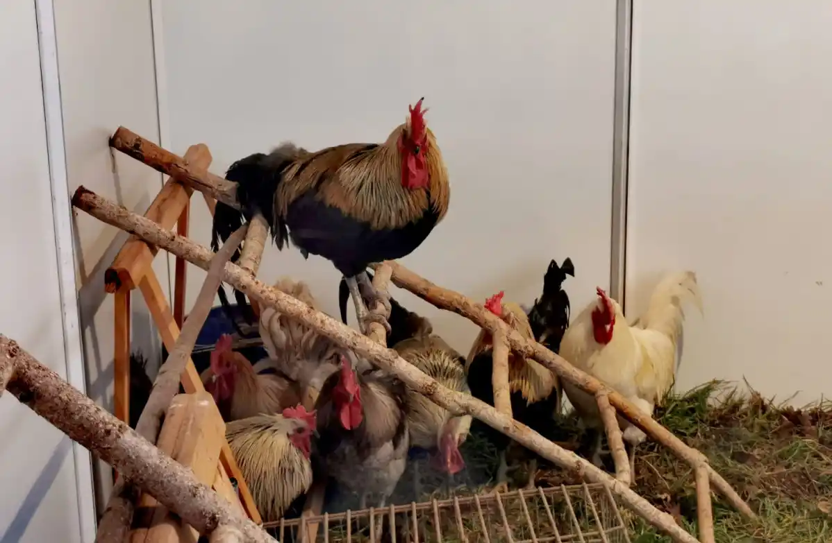 Diario de Valderrueda post